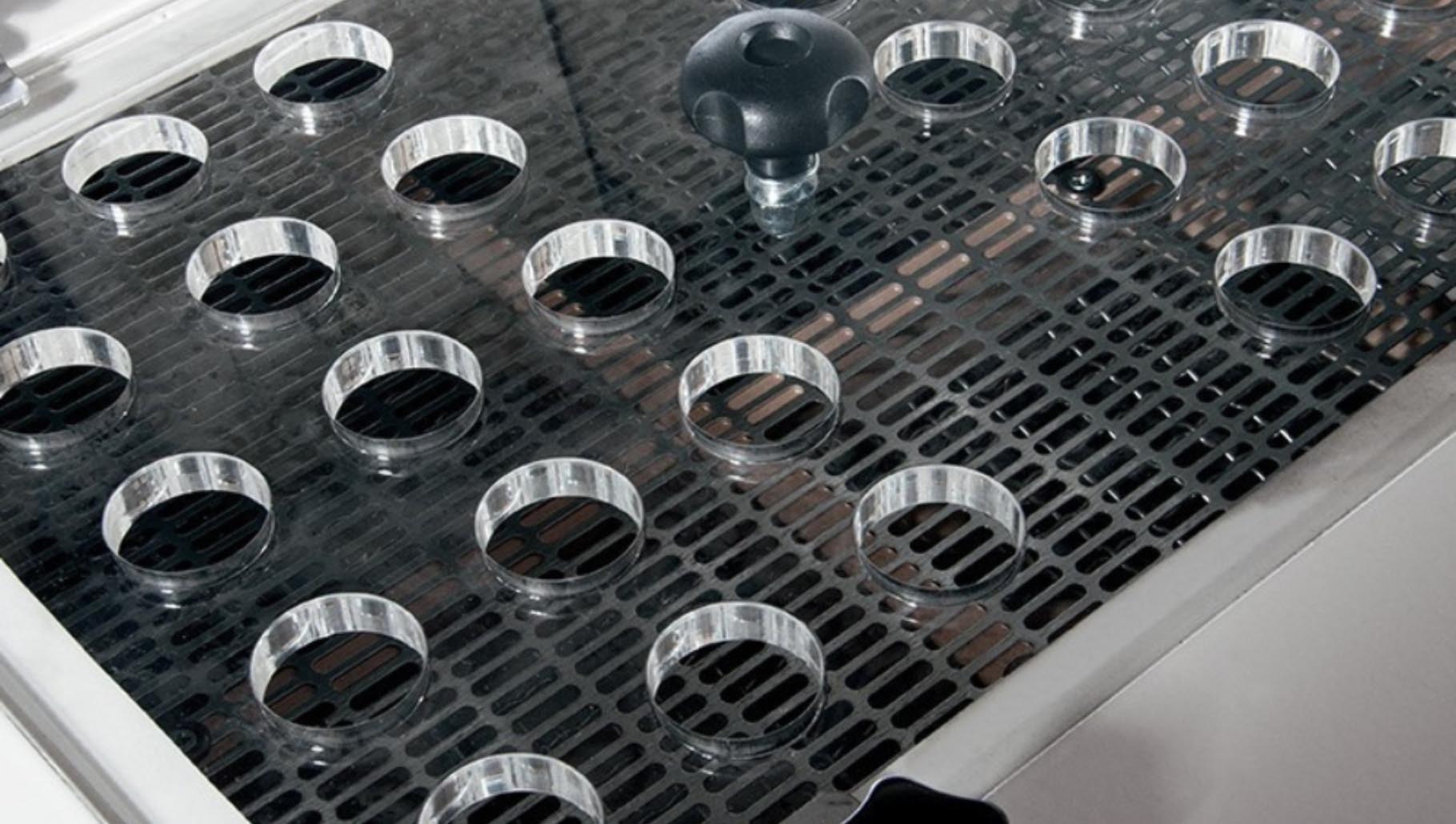 ALTRE SEZIONI GALLERY – WEBSITE – tasso