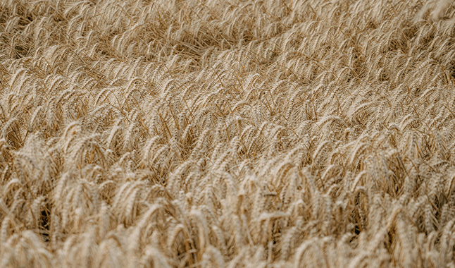 Azienda_chisiamo_ivalori_flessibili