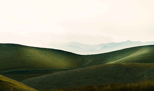 Azienda_chisiamo_ivalori_sostenibili