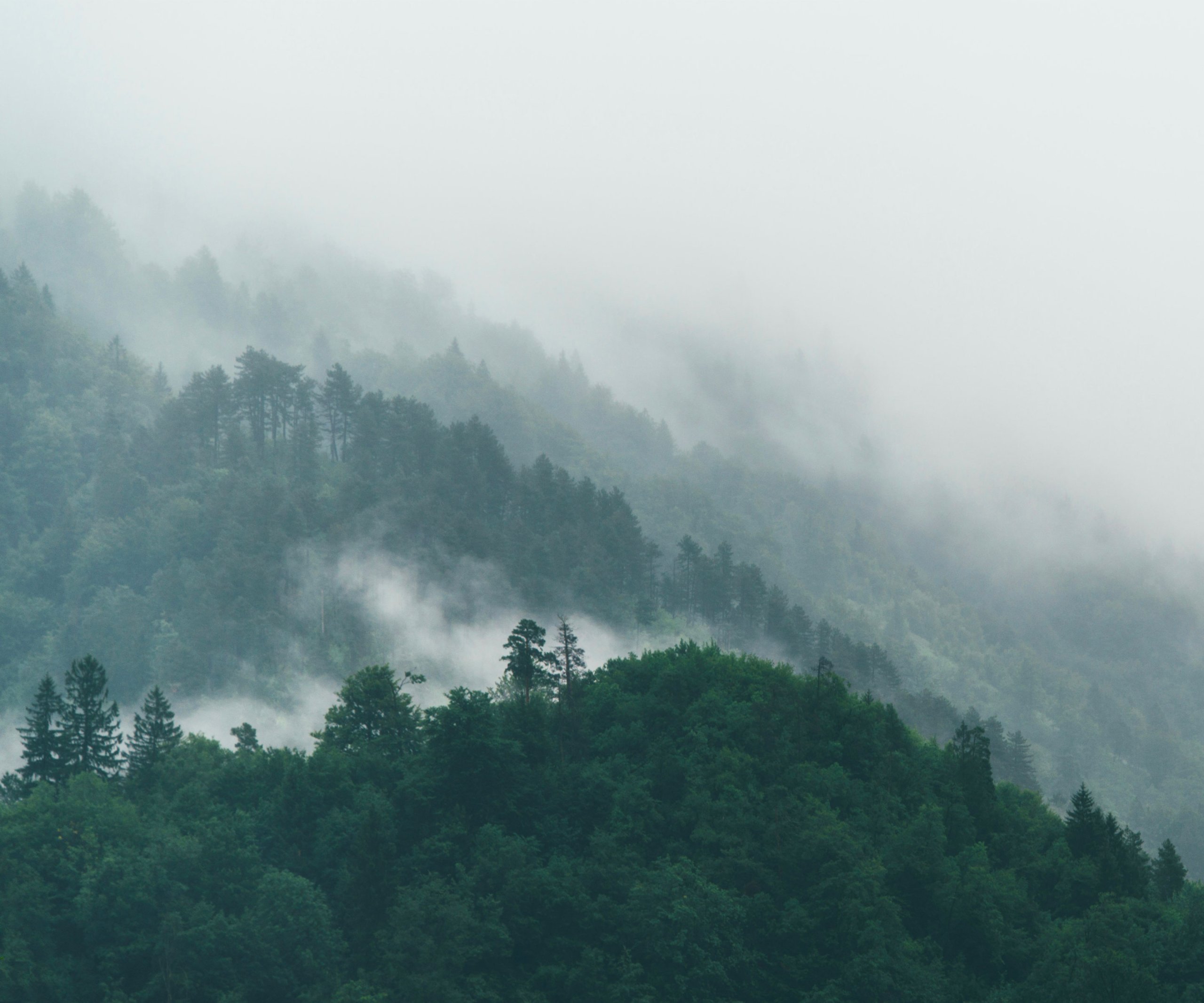 Azienda_chisiamo_missione_flessibilifullimage